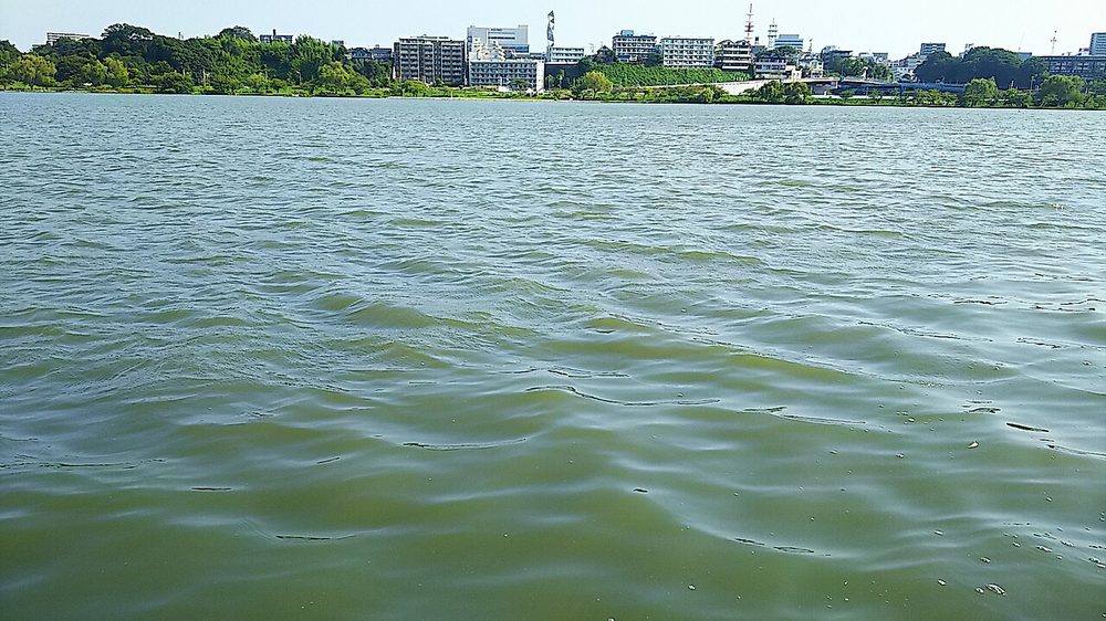 千波湖の湖面と水戸市街の眺め
