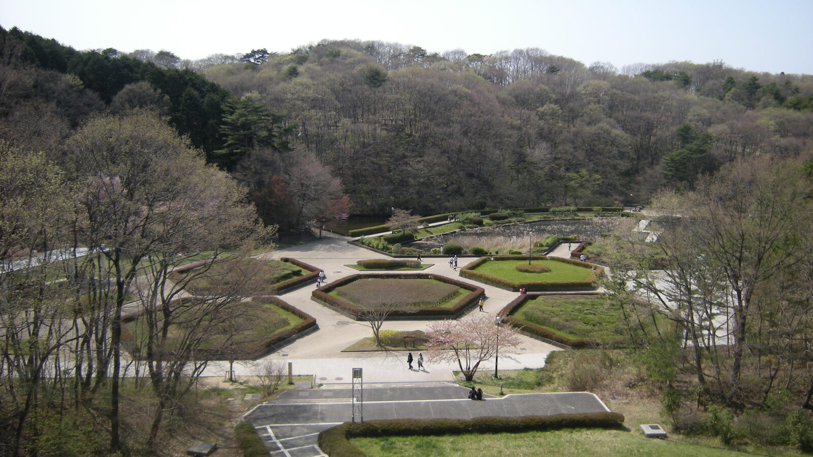 台原森林公園の緑豊かな眺め