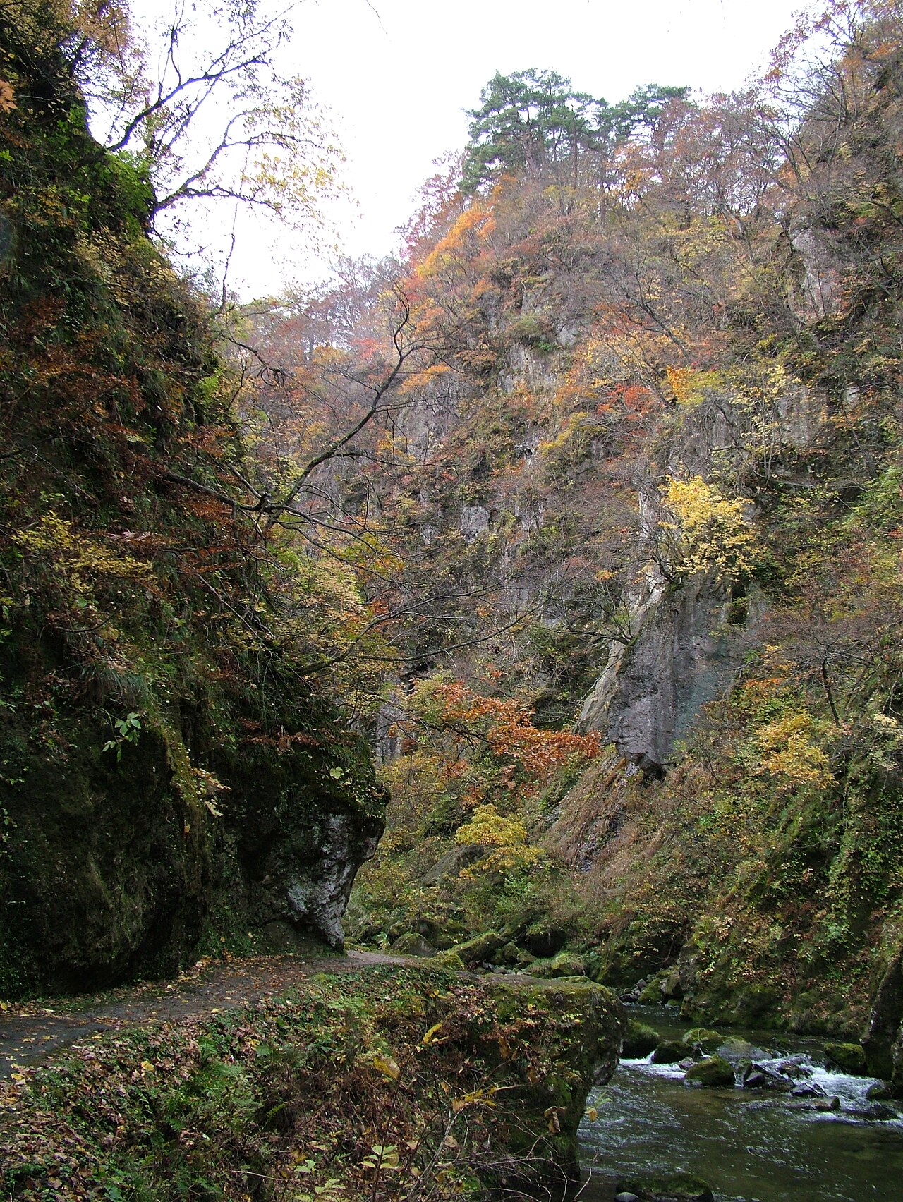 柱状節理の切り立った崖と紅葉に彩られた鳴子峡の谷底