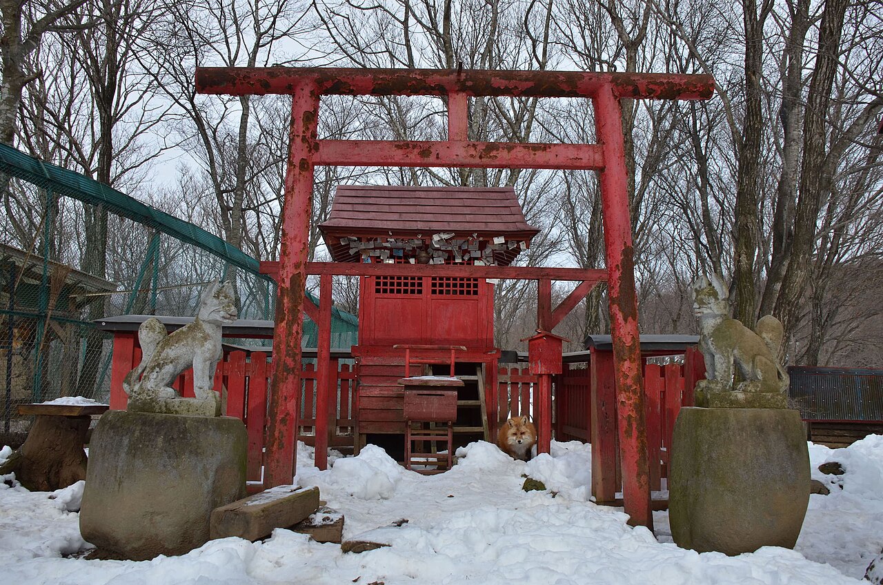 雪の中、朱塗りの鳥居とキツネの石像、顔を出すキツネ