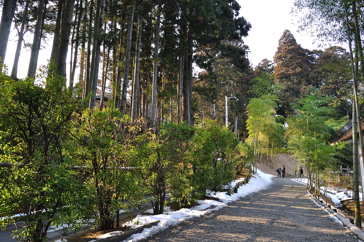 杉並木と竹林が続く瑞巌寺の参道、うっすらと雪が残る様子