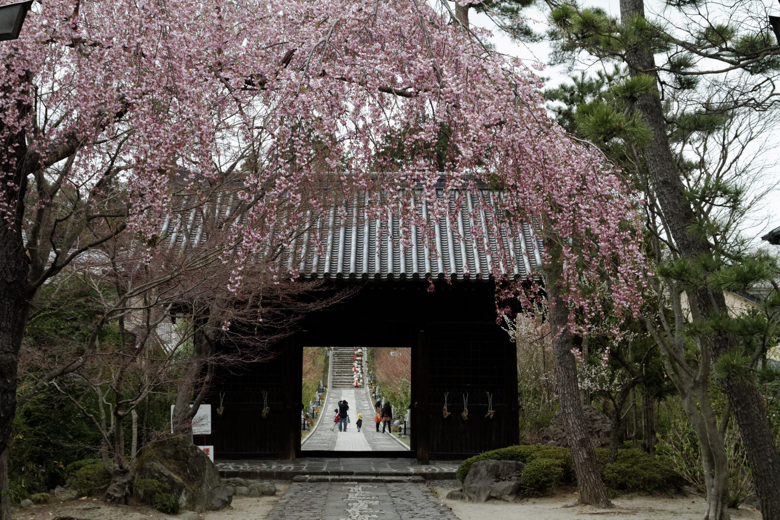 輪王寺の山門