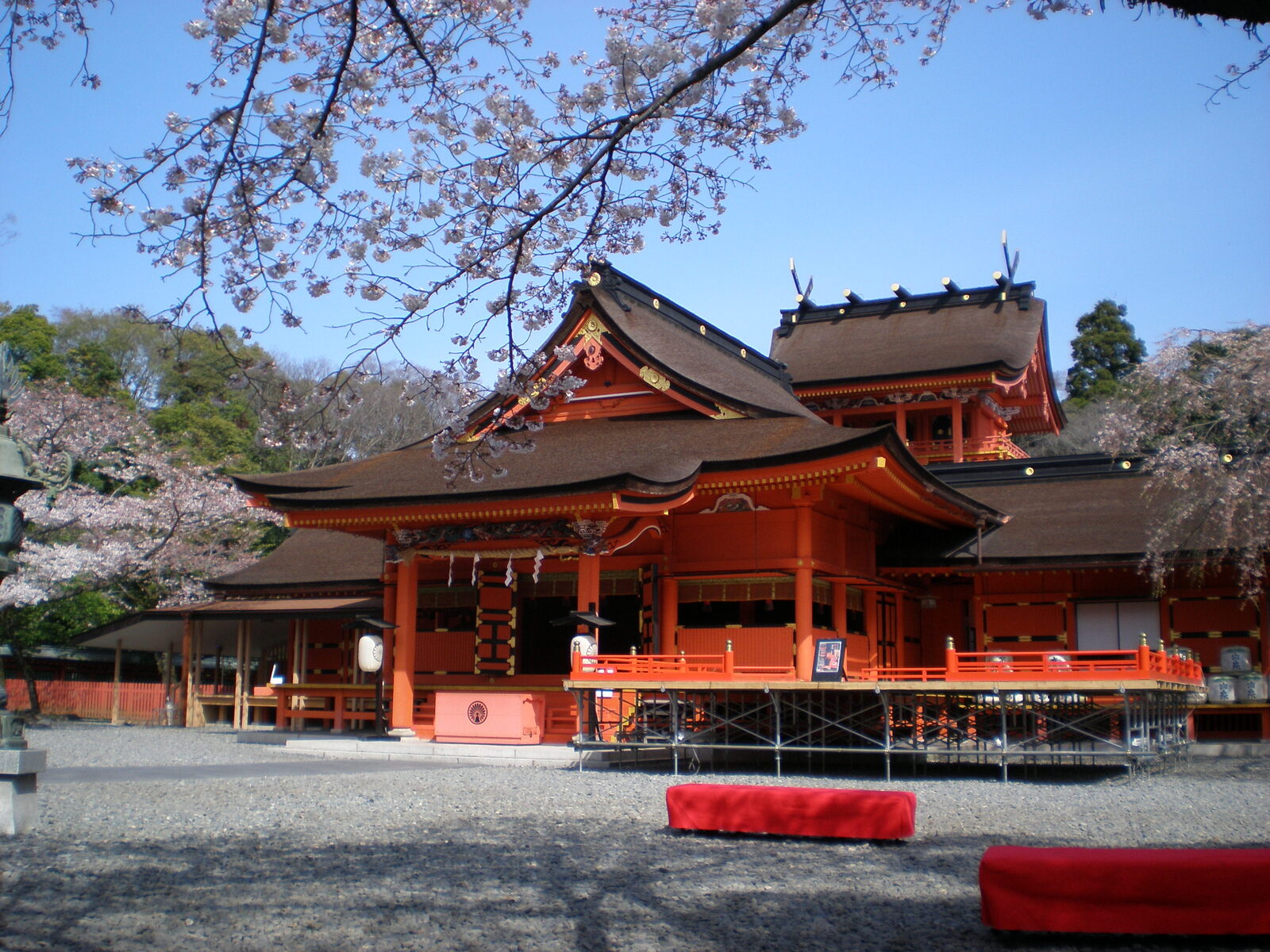 桜に彩られた浅間大社の本殿