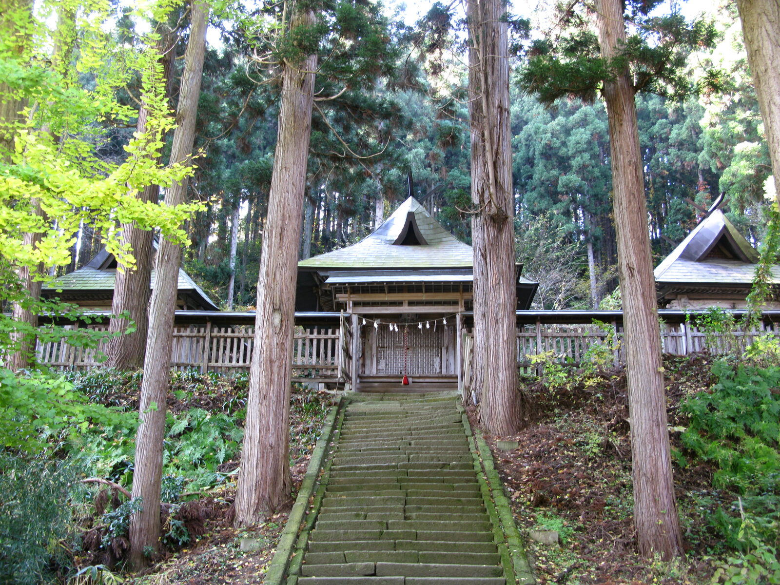 新宮熊野神社の本殿