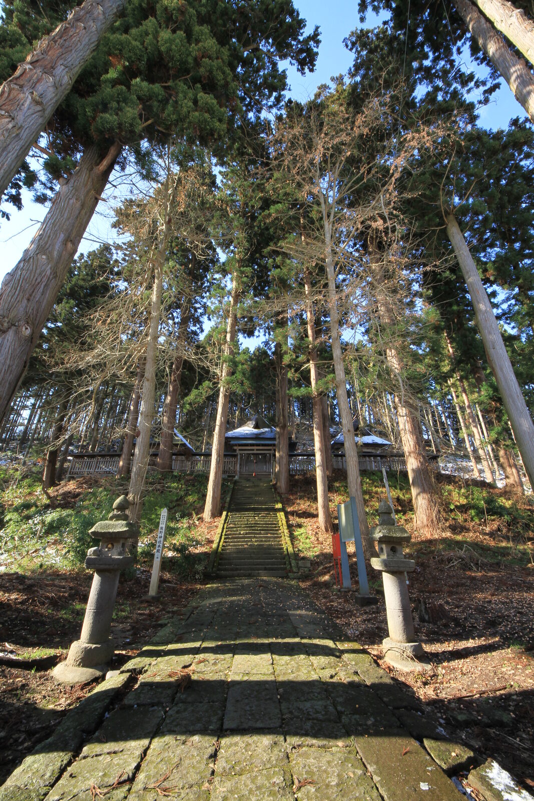 新宮熊野神社の鳥居と参道
