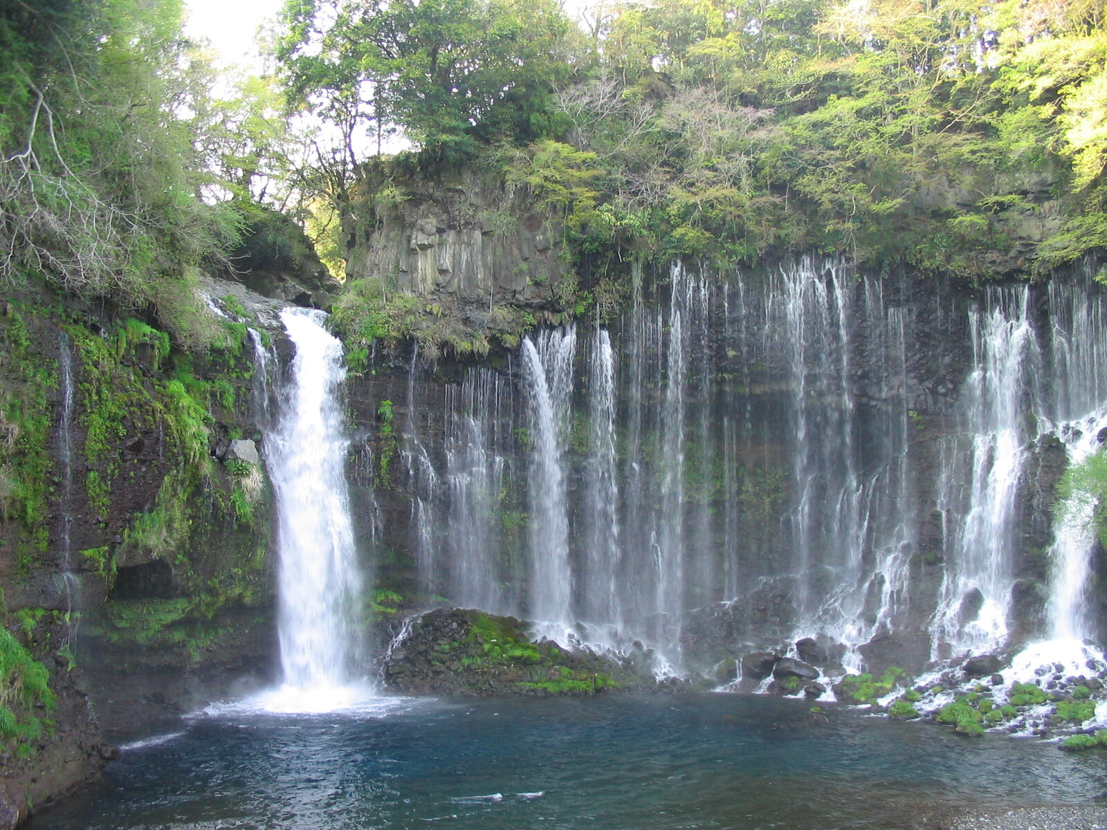 絹糸のように落ちる白糸の滝