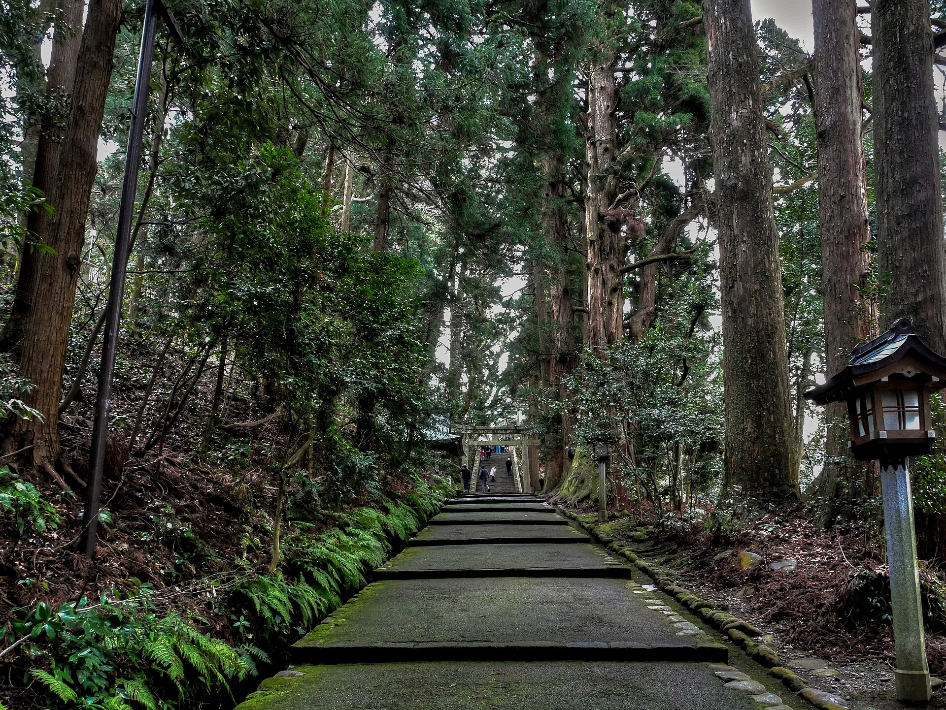 白山比咩神社の境内と社殿