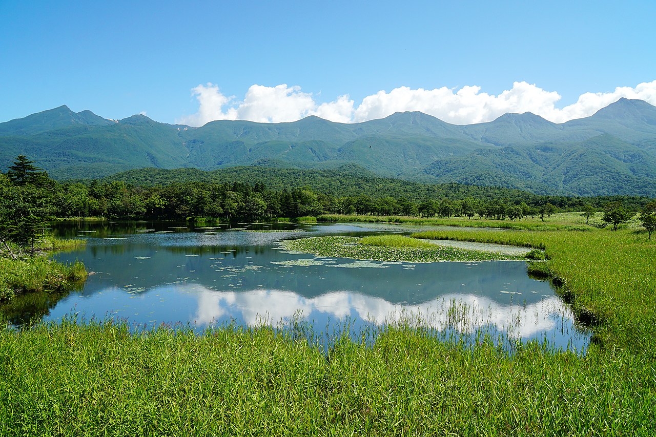 知床五湖の湖面に浮かぶ水草と知床連山の稜線