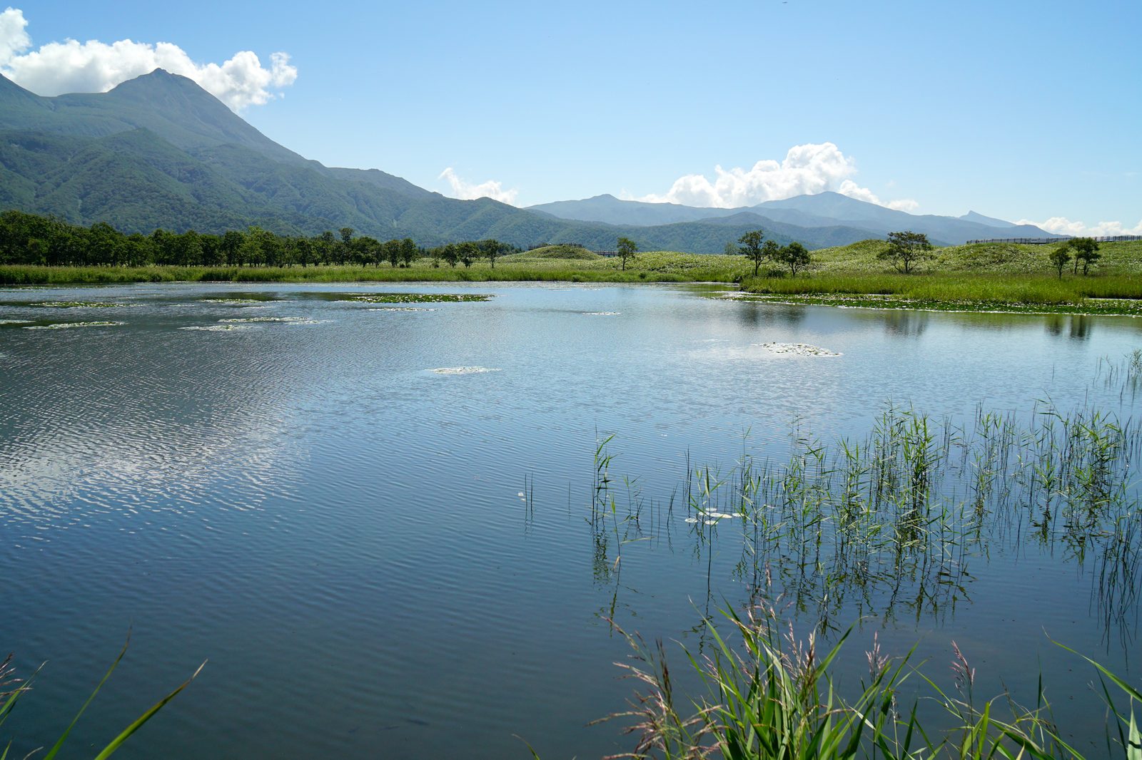 知床五湖の湖面に映る知床連山