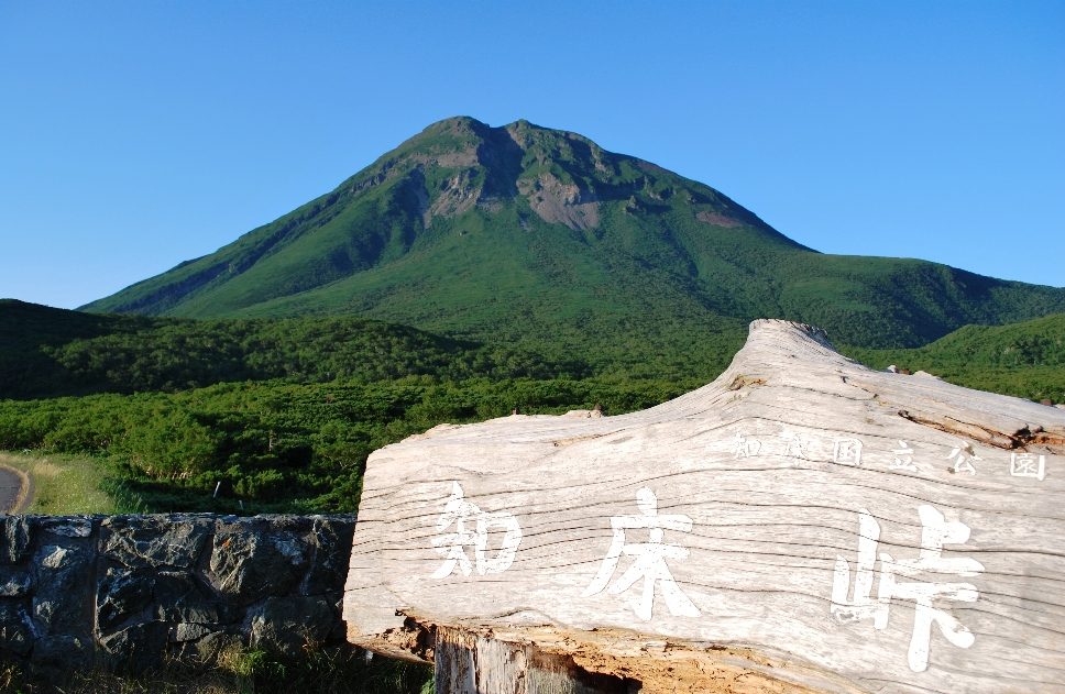 羅臼岳の山容を望む遠景