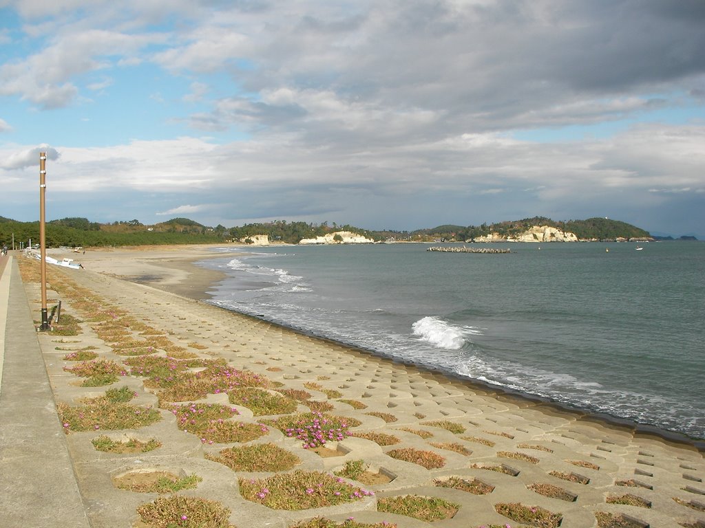 菖蒲田海水浴場の白い砂浜と海
