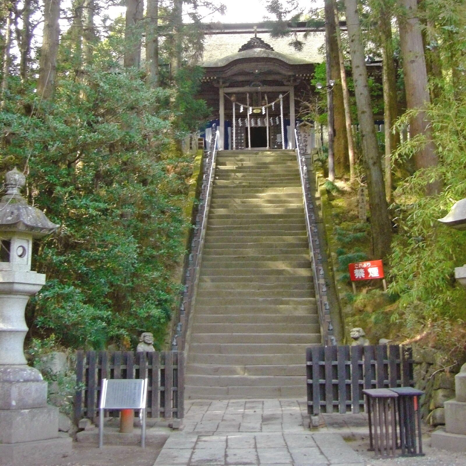 相馬中村神社の杉木立に囲まれた石段の参道