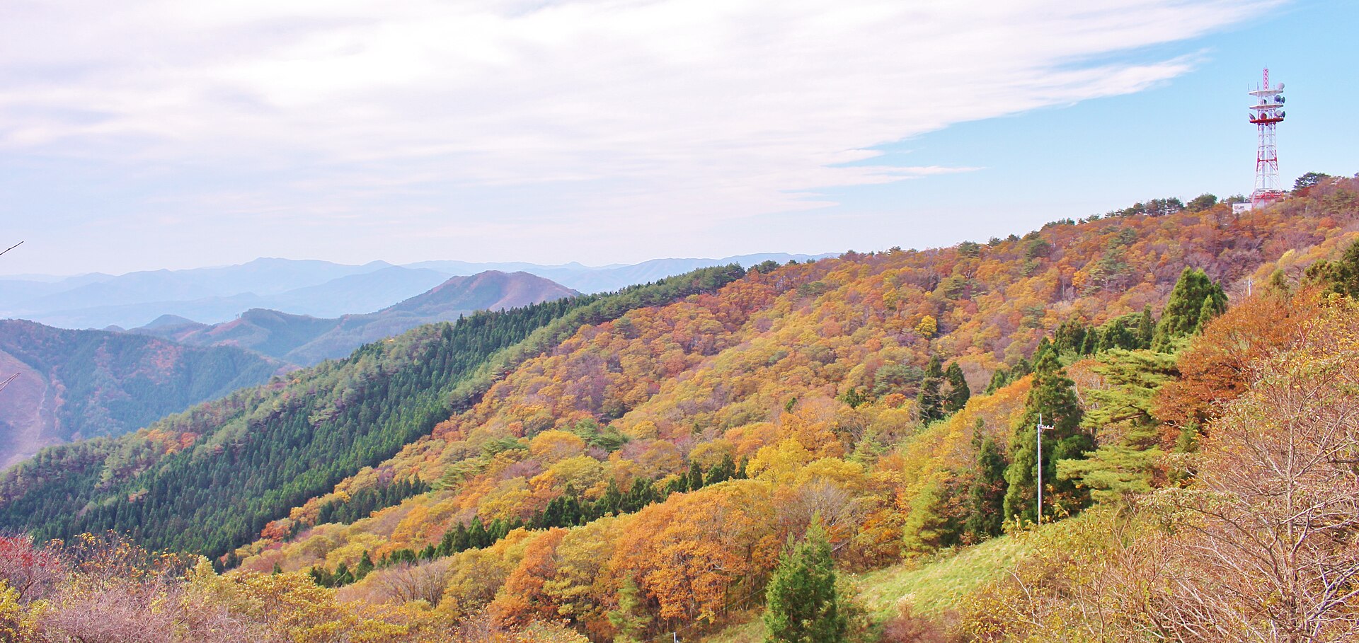 紅葉に染まる田束山の稜線と山道