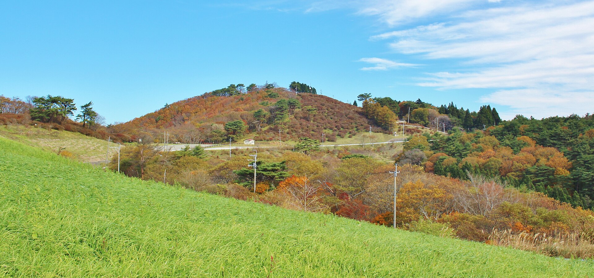 紅葉期の田束山、牧草地越しに望む山容
