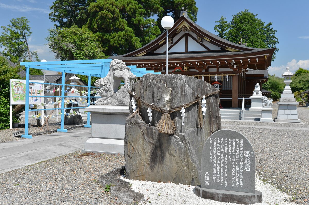 高萩八幡宮境内の婆杉石