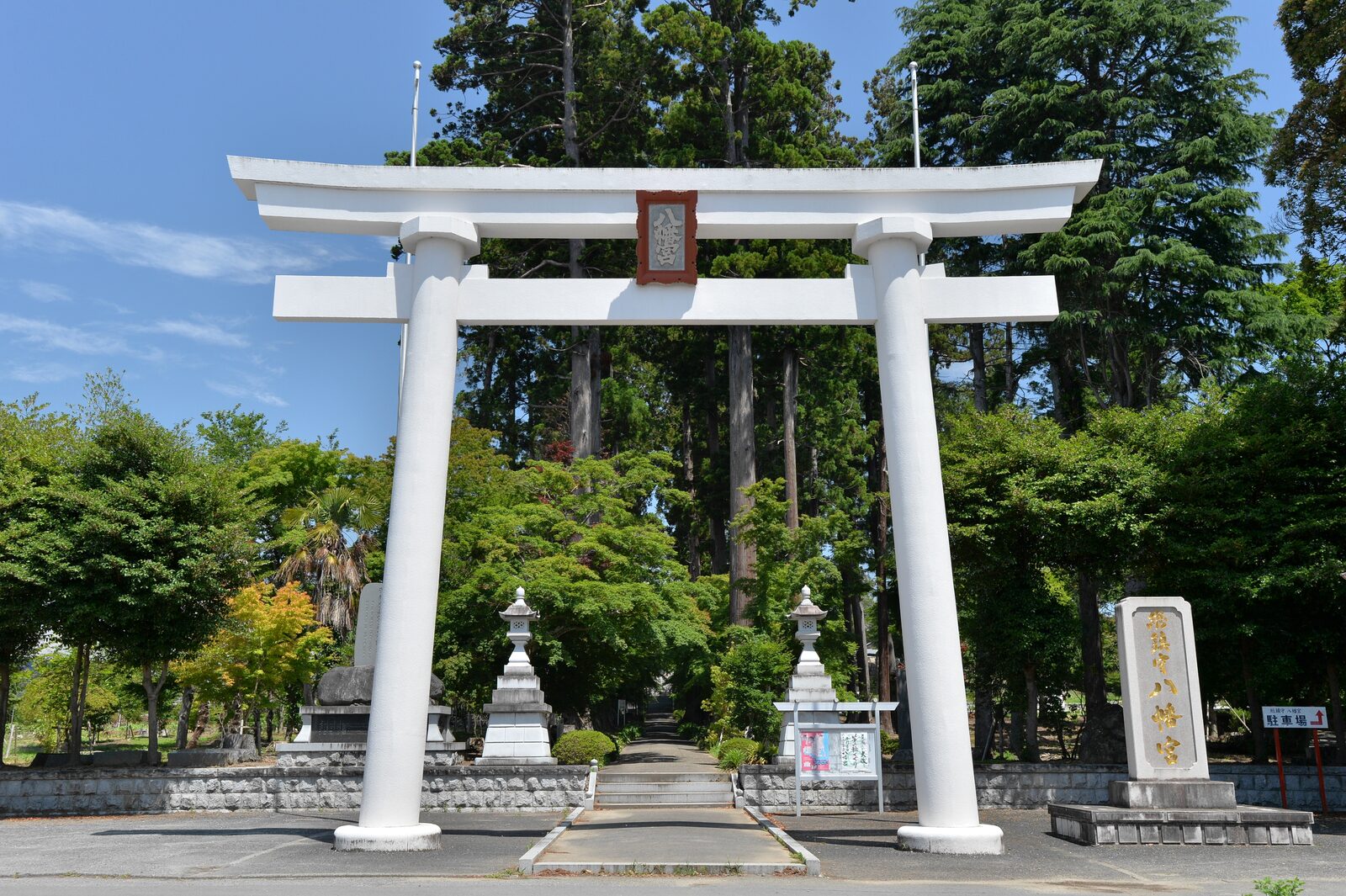 高萩八幡宮の一ノ鳥居と杉並木の参道