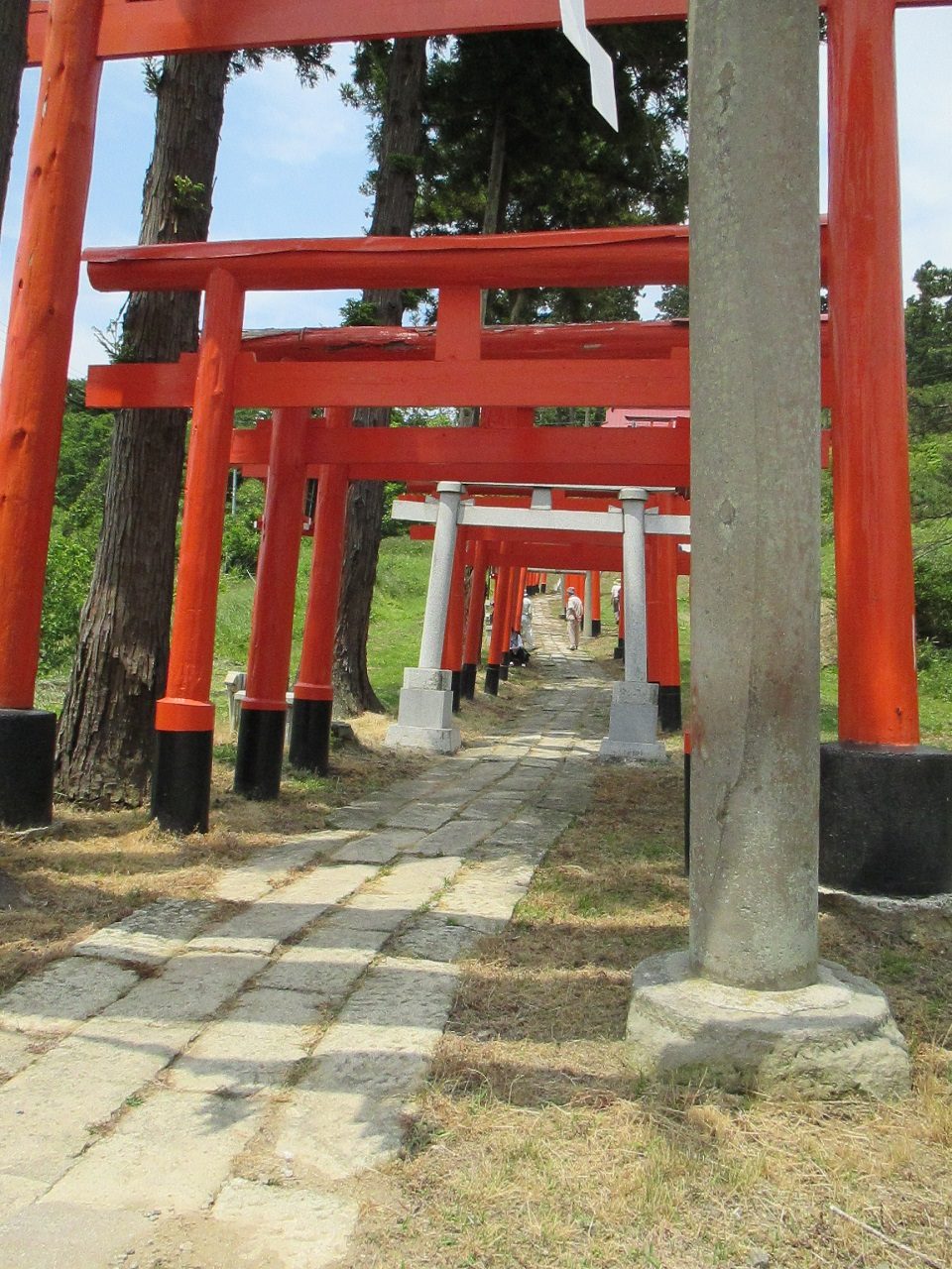 高屋敷稲荷神社、朱鳥居のトンネルが続く参道
