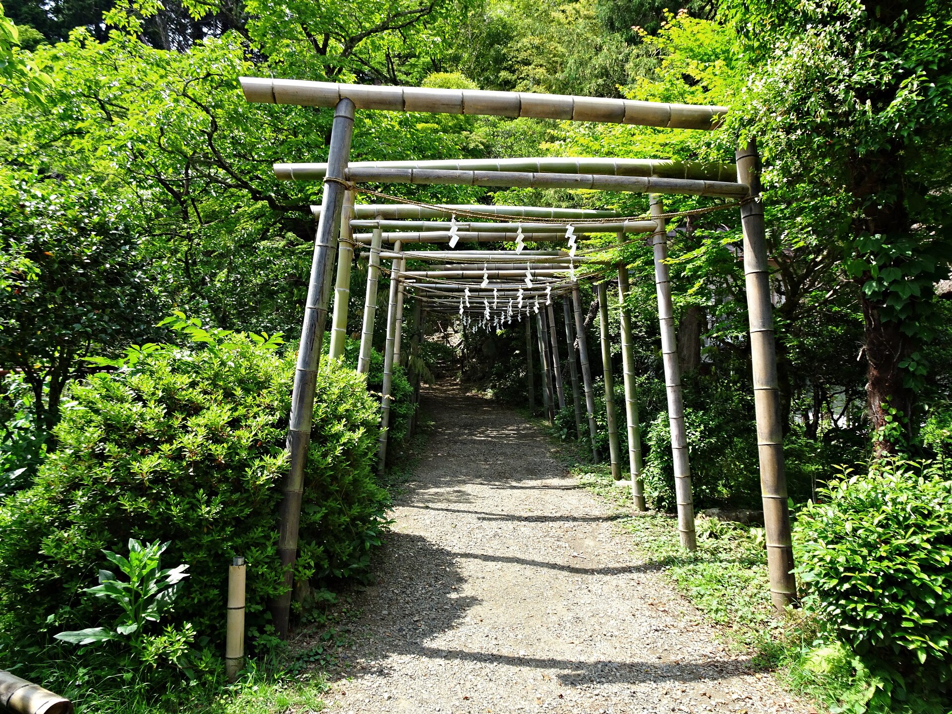 竹寺の竹の鳥居と参道