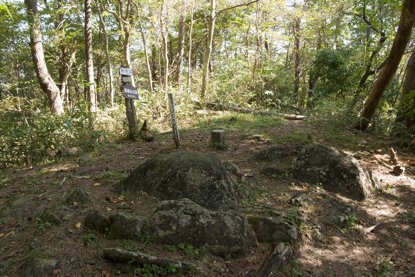 竪破山山頂付近、ブナ林に包まれた登山道の様子