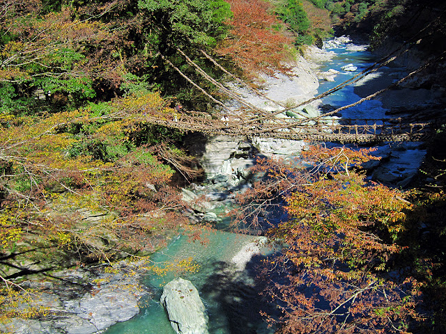 紅葉に包まれる祖谷のかずら橋