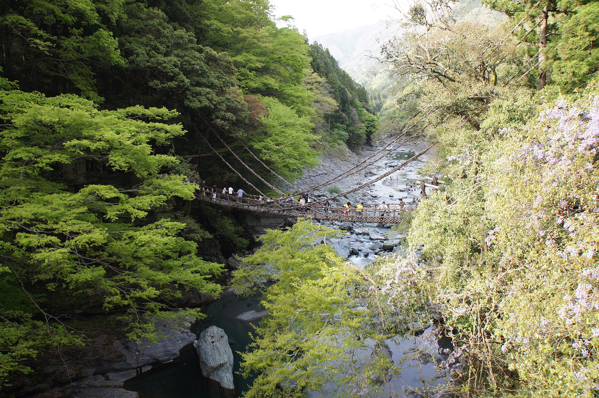 祖谷のかずら橋