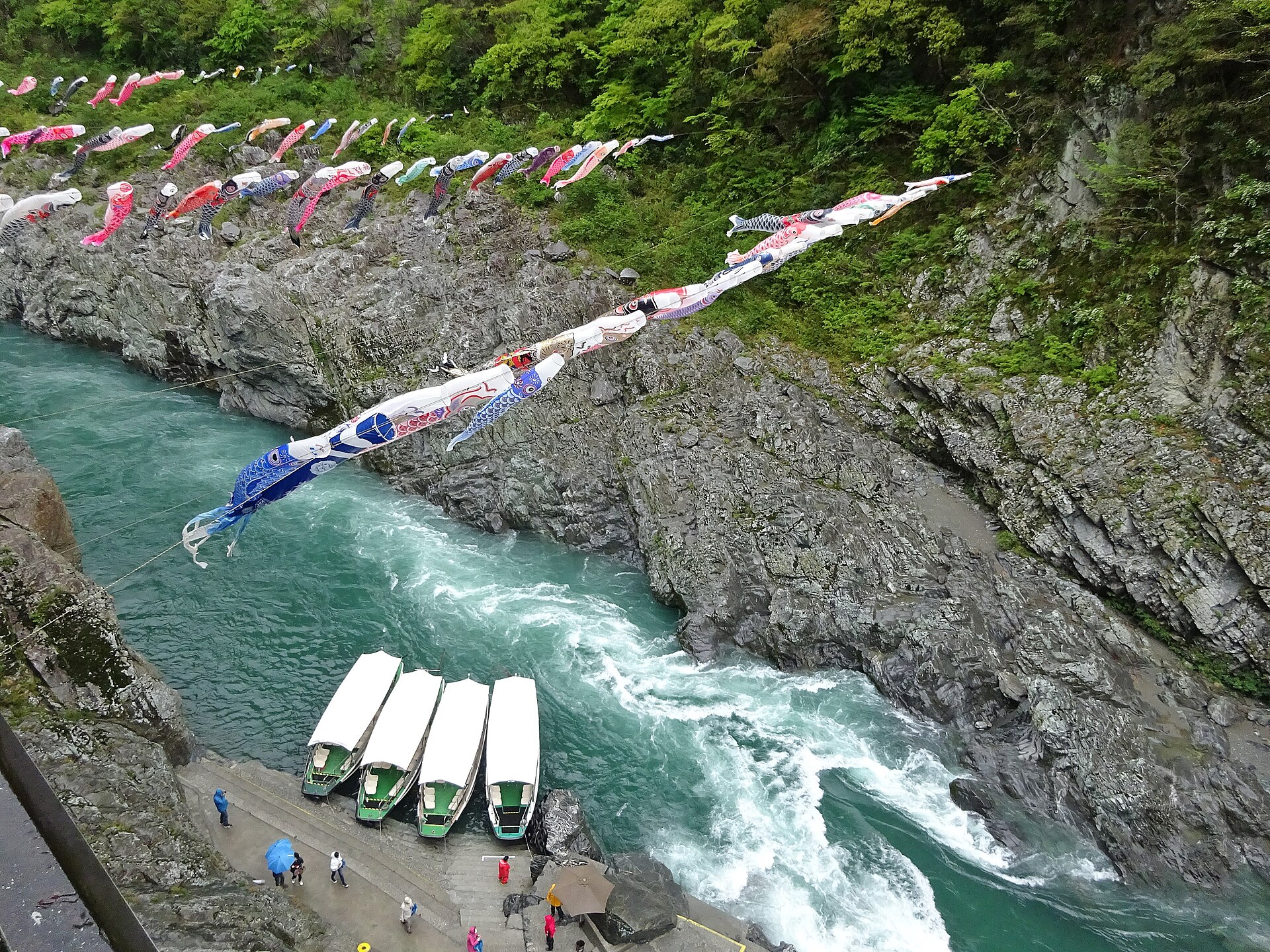 大歩危峡観光遊覧船から見る渓谷の岩肌