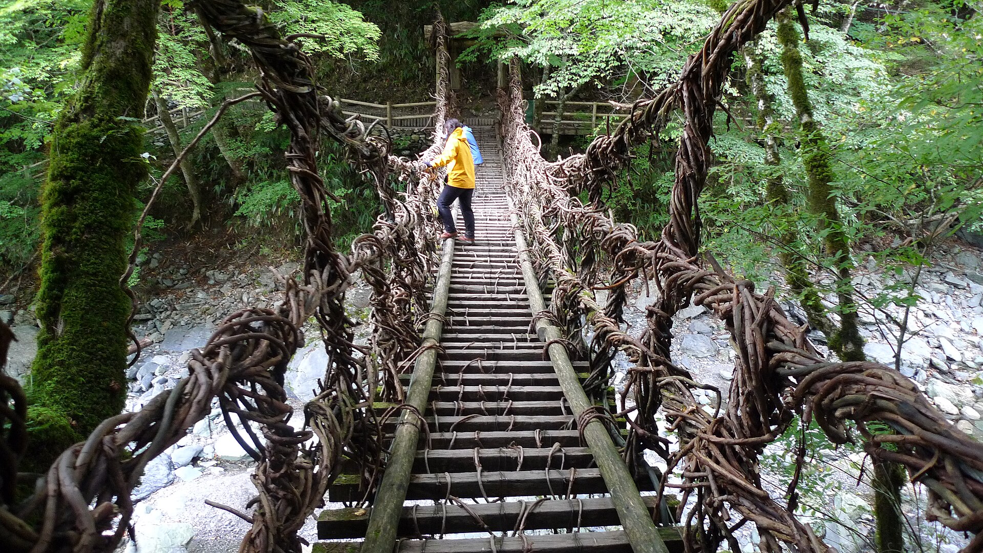 奥祖谷二重かずら橋の全景と周囲の山並み