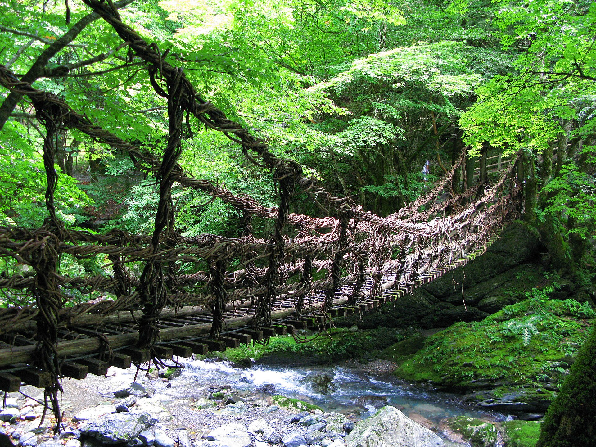 奥祖谷二重かずら橋