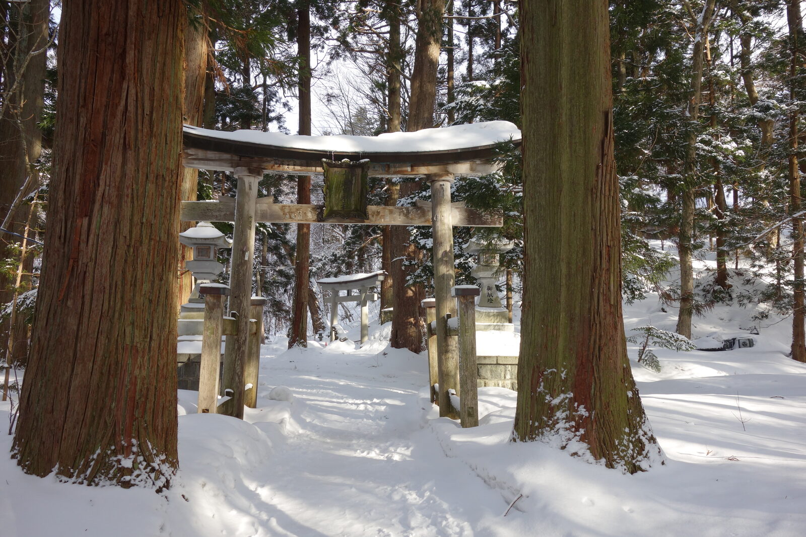十和田神社の大鳥居と杉並木の参道
