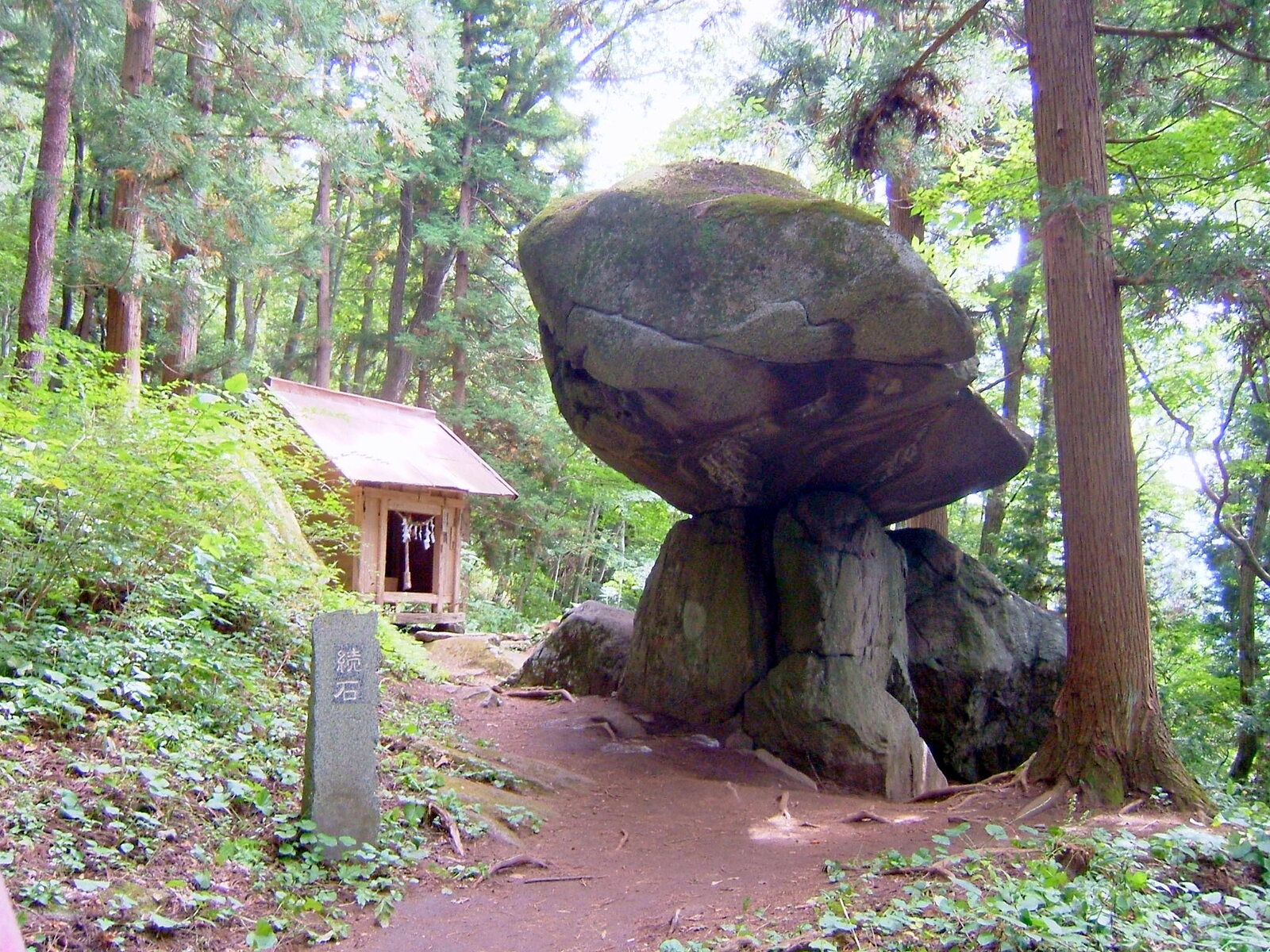 森の中に鎮座する続石の全景