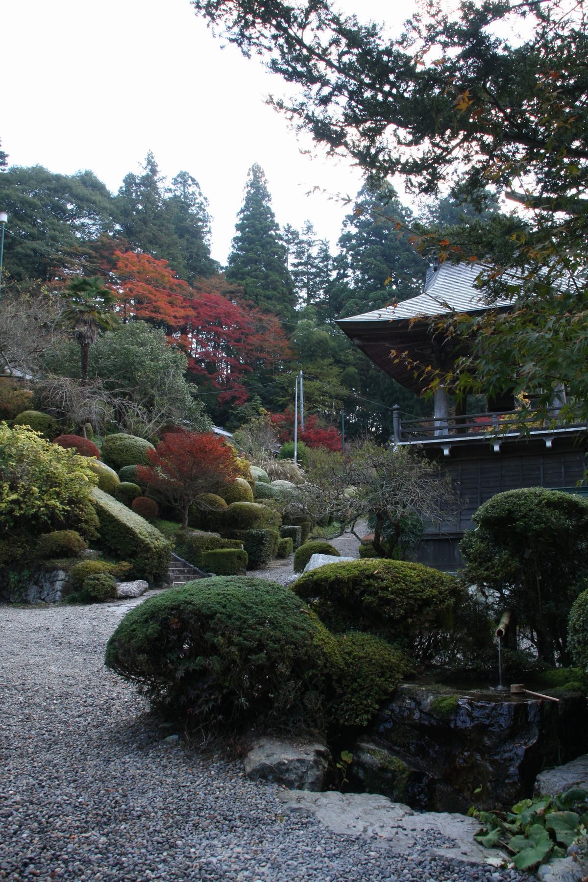 雲巌寺の手水舎と紅葉