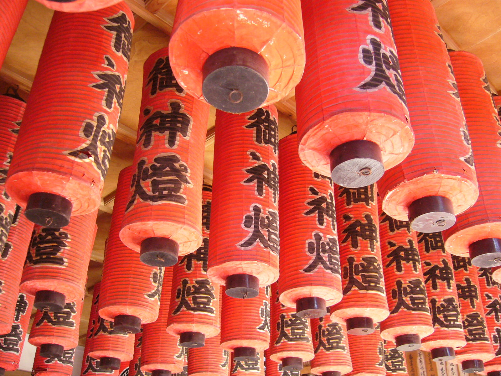 宇都宮二荒山神社の境内に並ぶ提灯