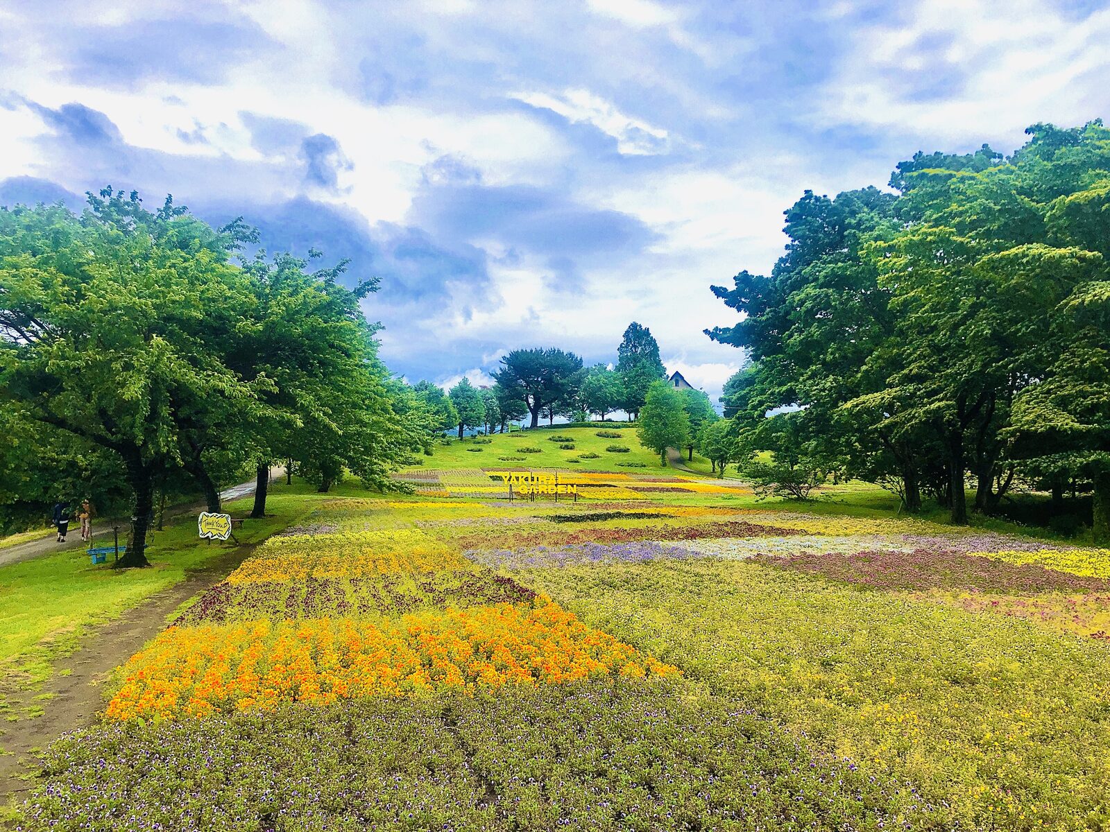 やくらいガーデンの花畑