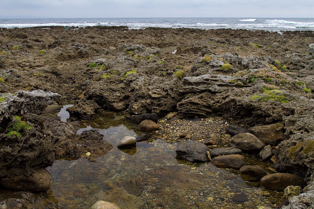 春田浜海水浴場の隆起サンゴ礁とタイドプール