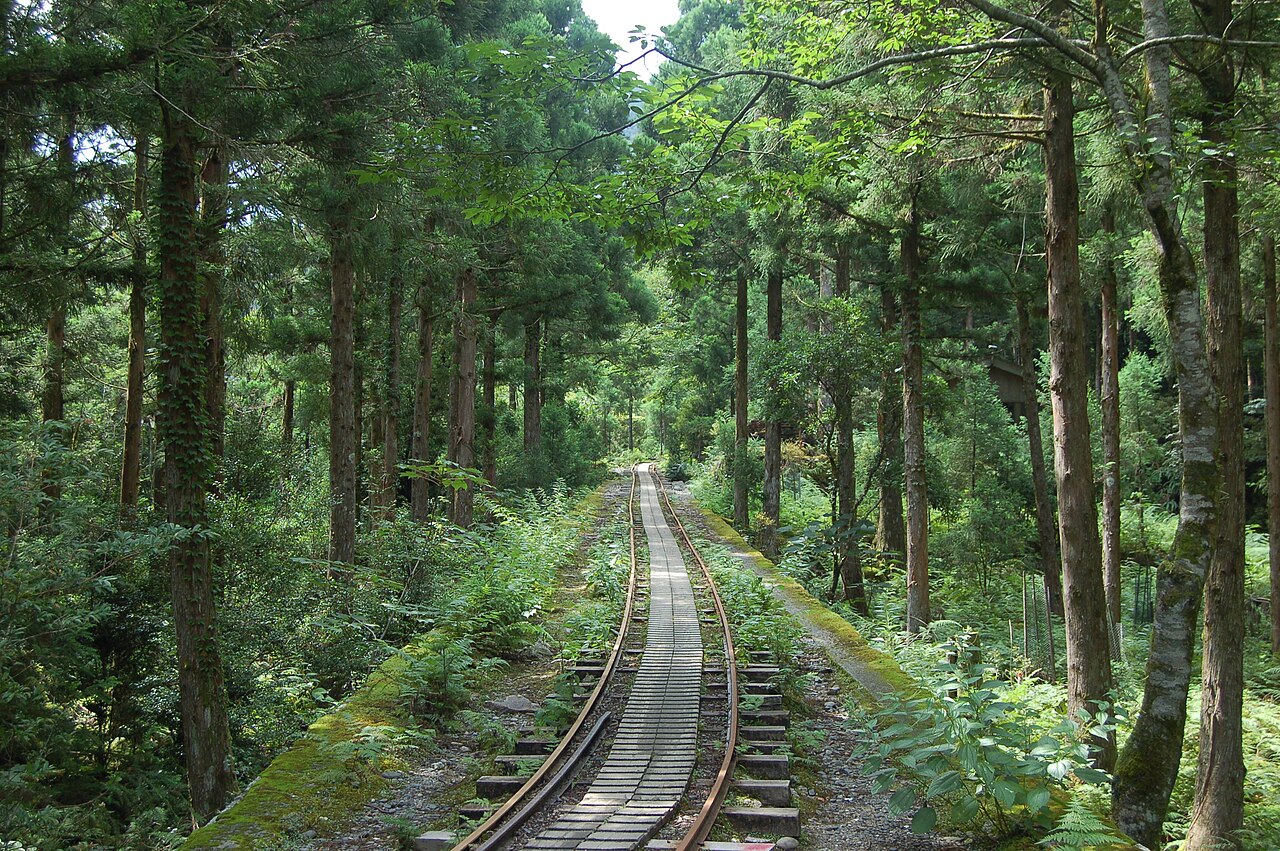 早朝、屋久杉自然館前から登山バスに乗る