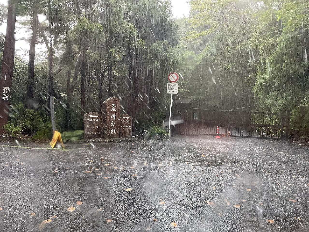 トロッコ道を荒川登山口へ下山する