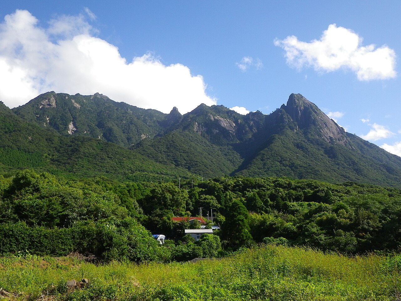 南側から望む尾之間三岳、左から割石岳、耳岳、モッチョム岳