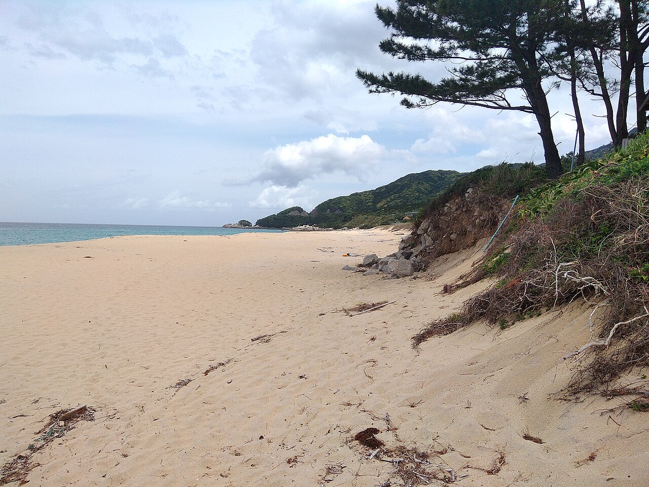 広い黄色い砂浜と穏やかな海、松の木と砂の崖