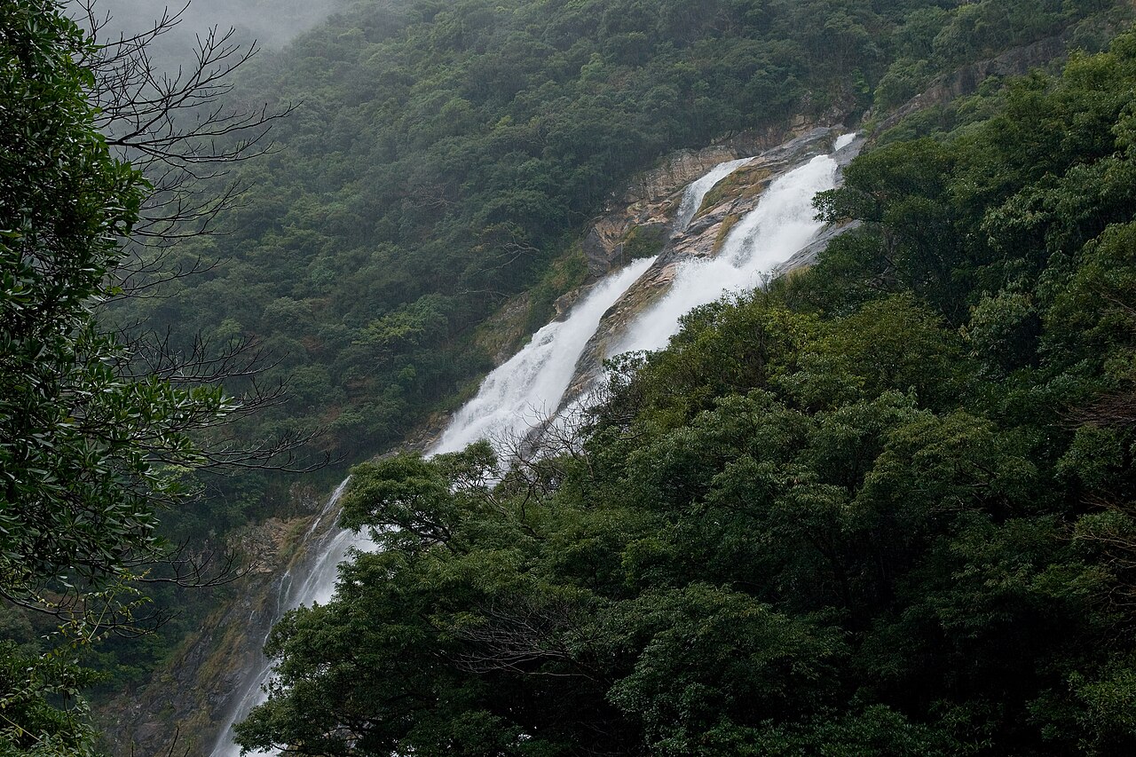 霧のかかる深緑の谷と、斜面を白く裂いて落ちる大川の滝の遠望