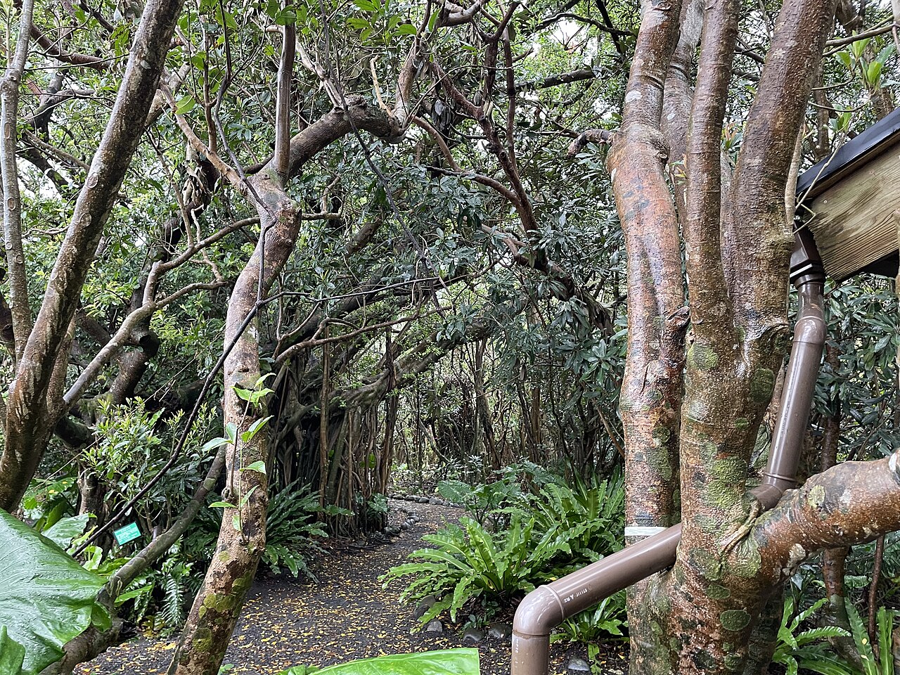 「志戸子ガジュマル公園」と彫られた木の門と、その脇の小屋