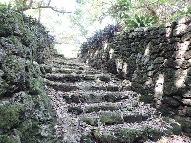 大和井の苔むした石段のクローズアップ