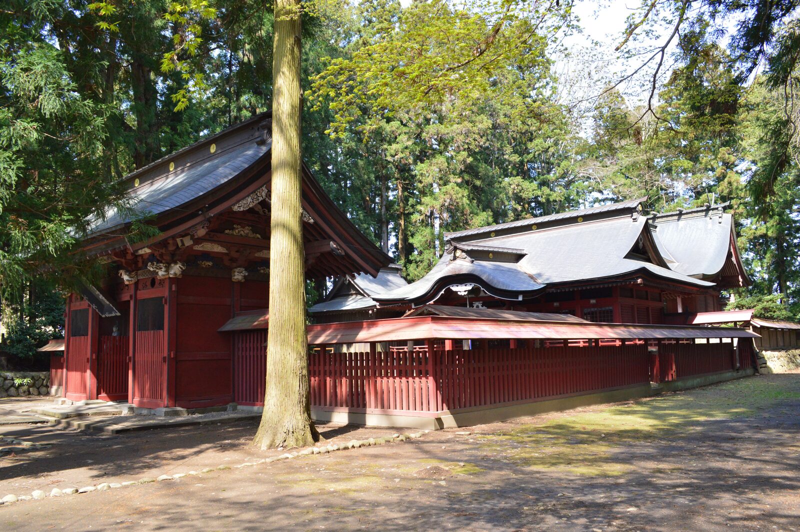 八槻都々古別神社の社殿