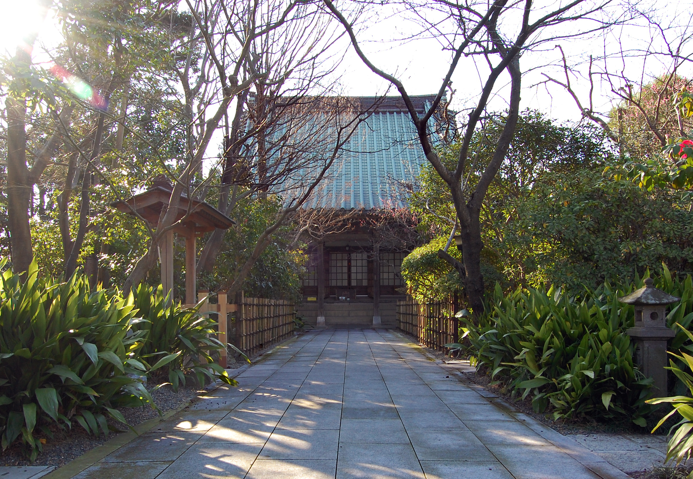 證誠寺の参道と本堂