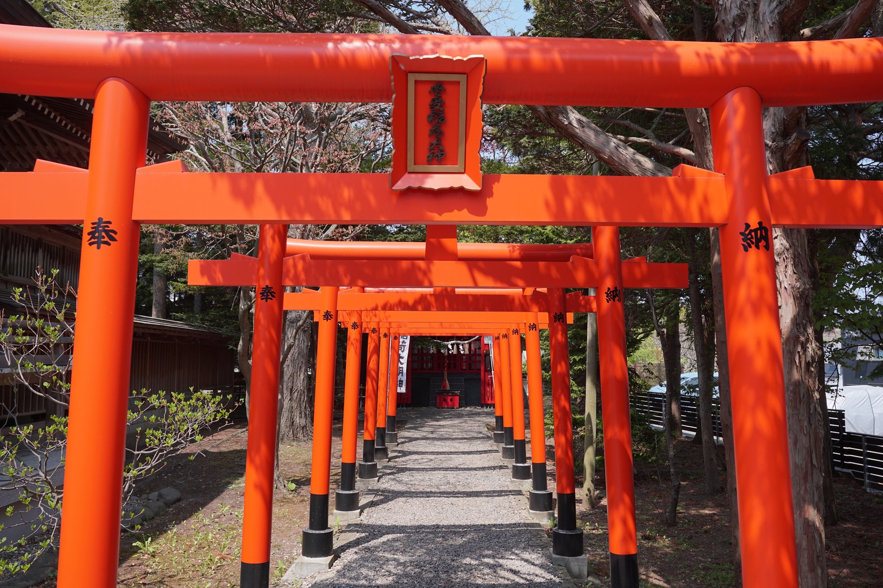 湯倉神社境内の豊受稲荷神社、朱色の鳥居が連なる参道