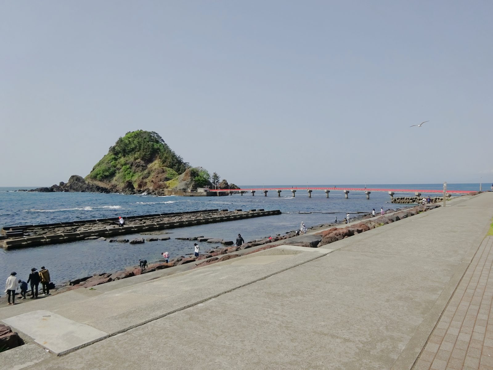 由良海岸の白山島と赤い橋