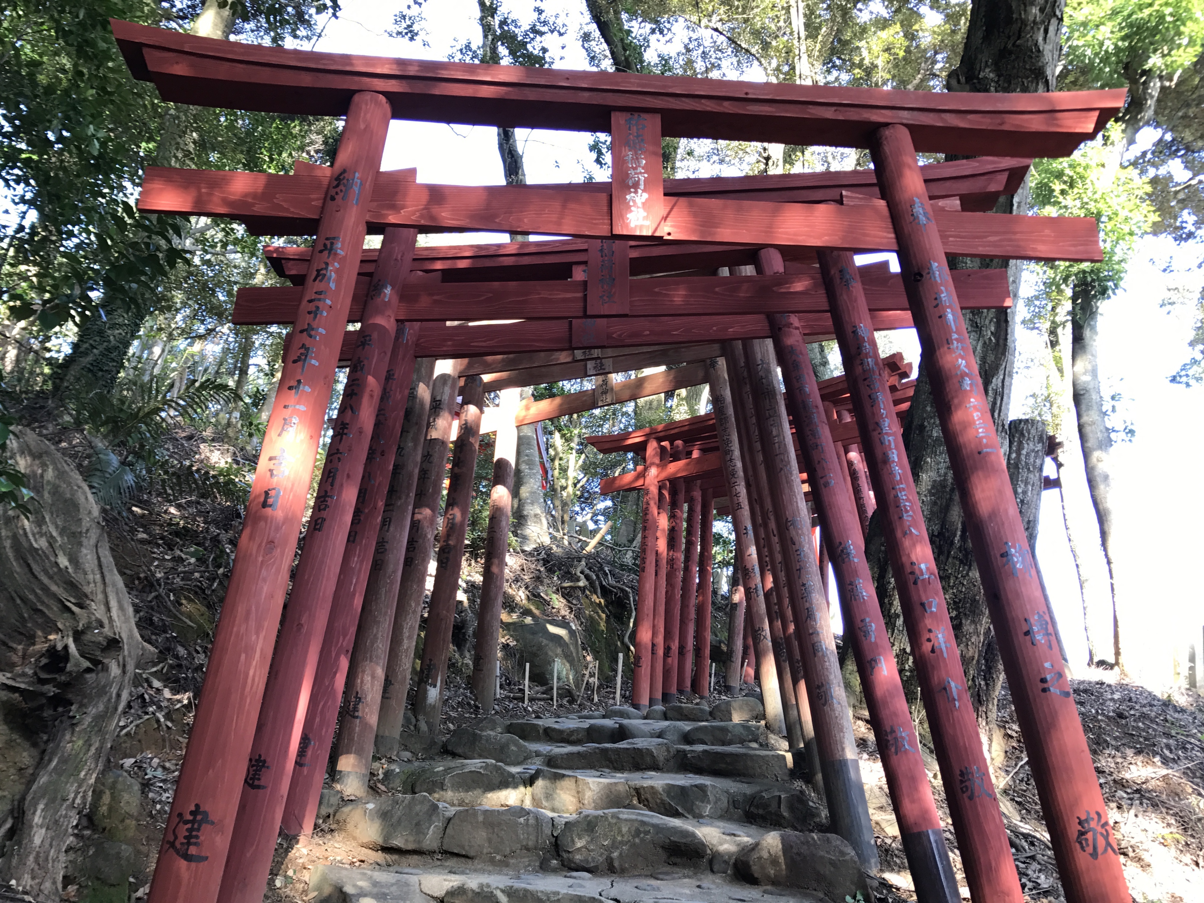 祐徳稲荷神社奥の院へ続く朱塗りの鳥居のトンネル