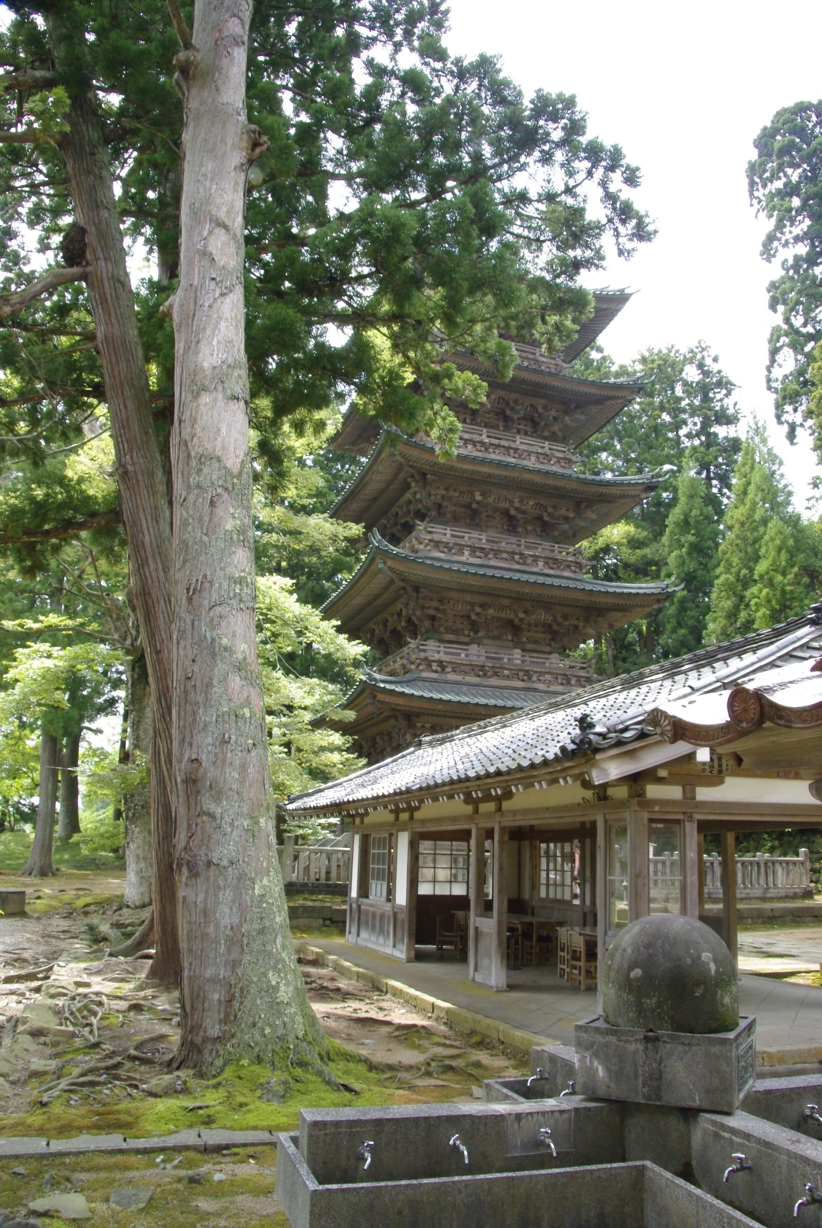 杉の木立の間から見える善宝寺五重塔