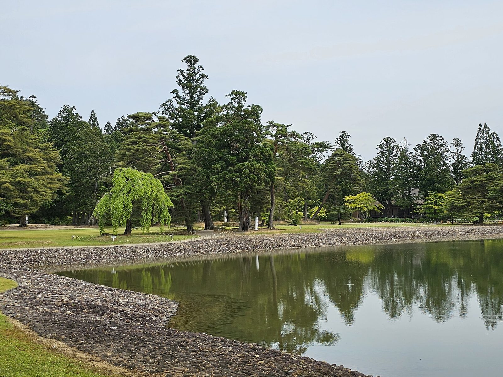 毛越寺の浄土庭園