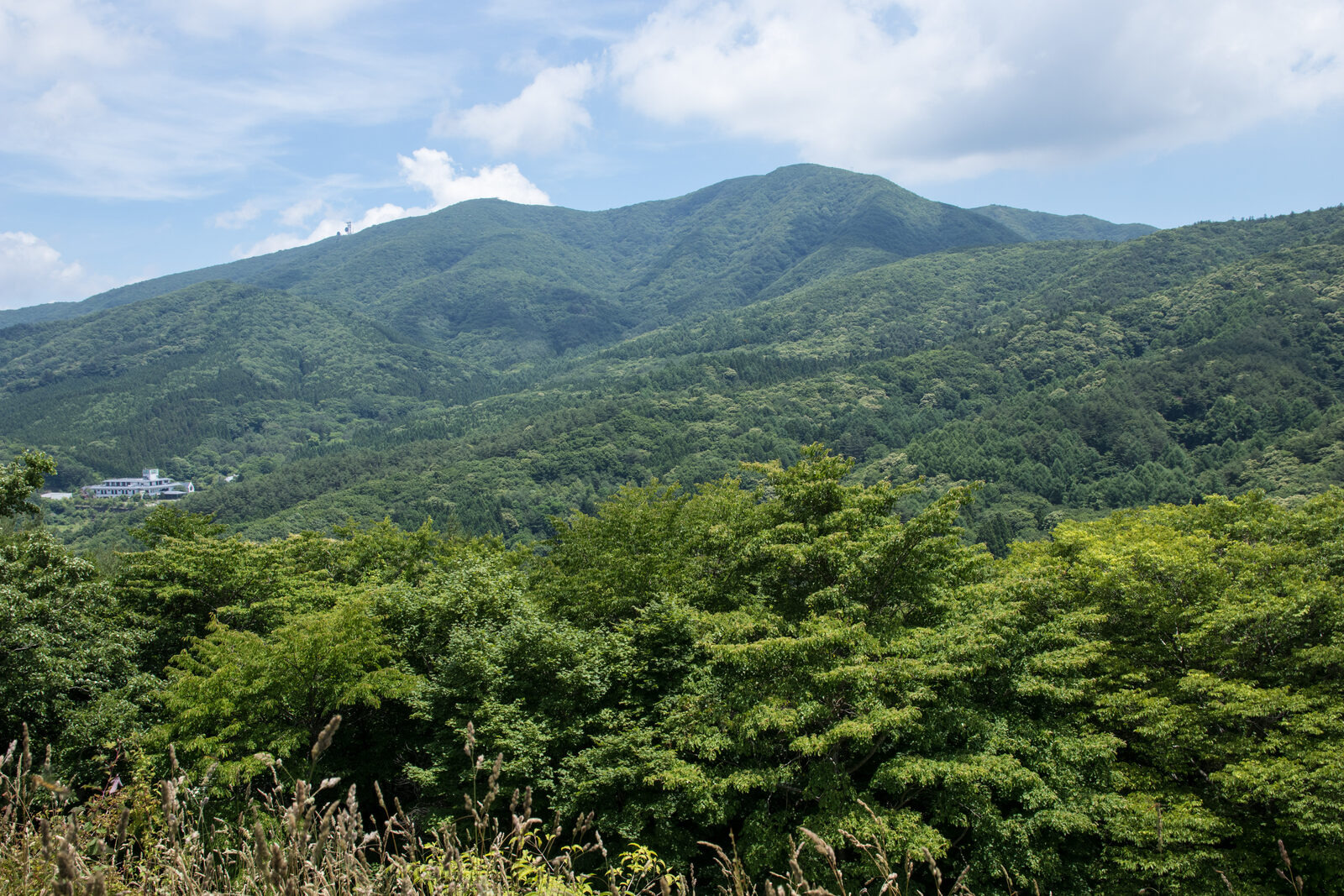 大滝根山の山並み