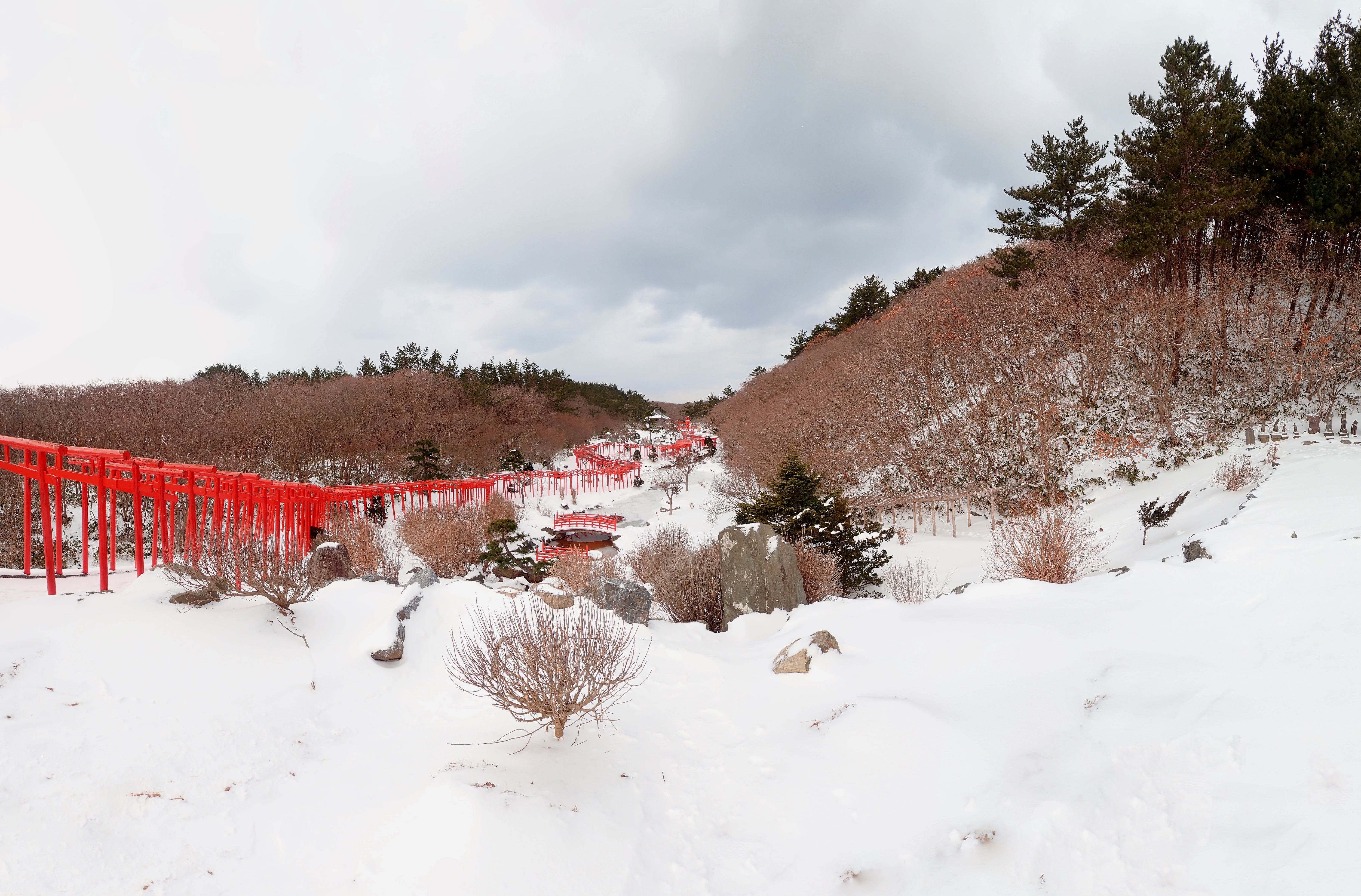 神苑の池と朱の鳥居が織りなす高山稲荷神社の景観